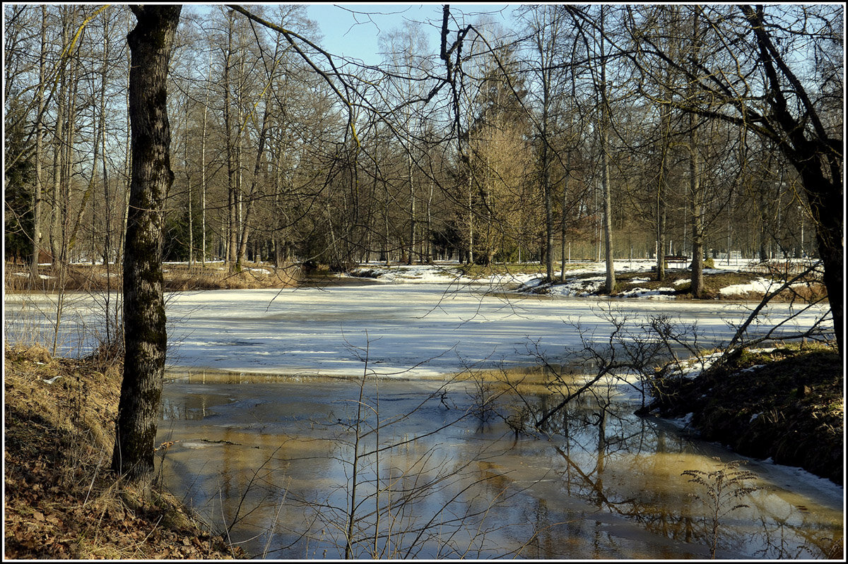 Пришла весна - Aleksandr Gal