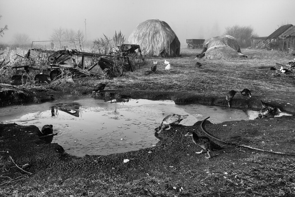 Утро.  Туман. - Владимир Гришин