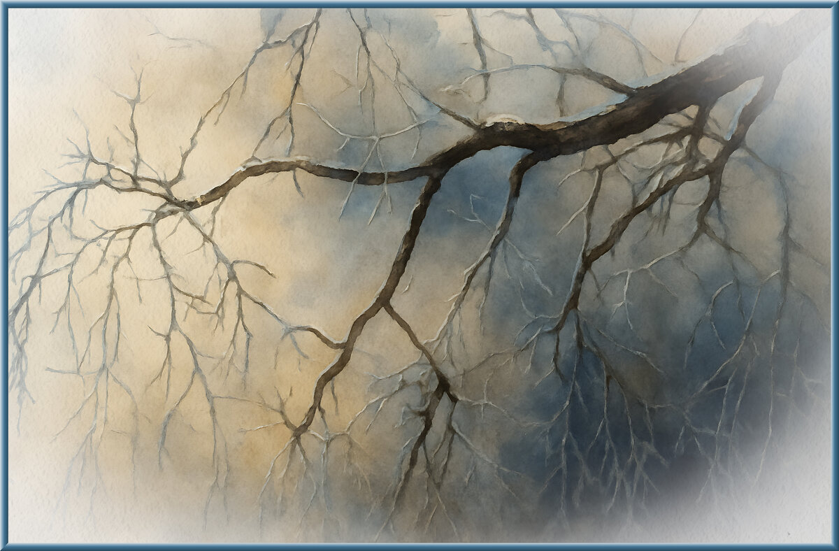 *** - Aleksey Afonin