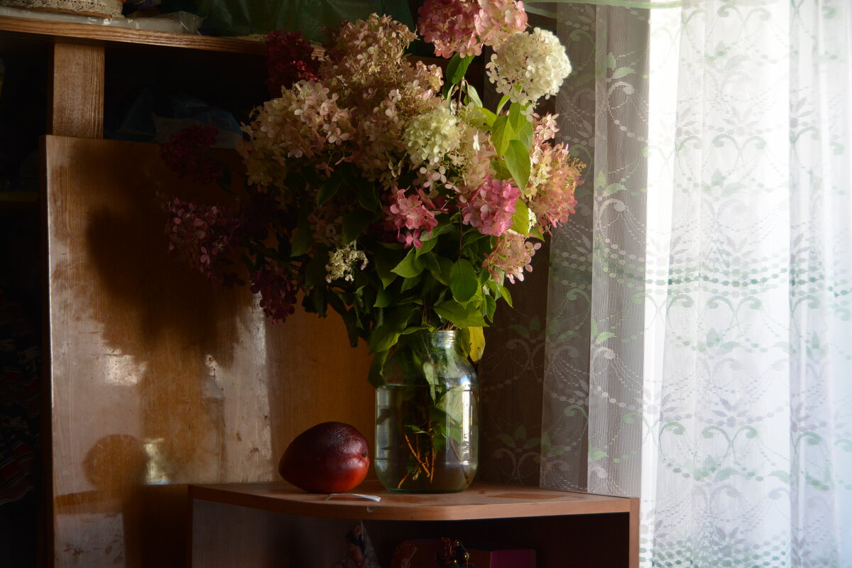 ... - Анастасия Смирнова