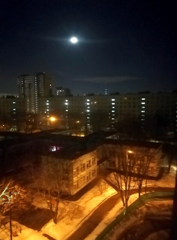 Ночь - Ольга Довженко