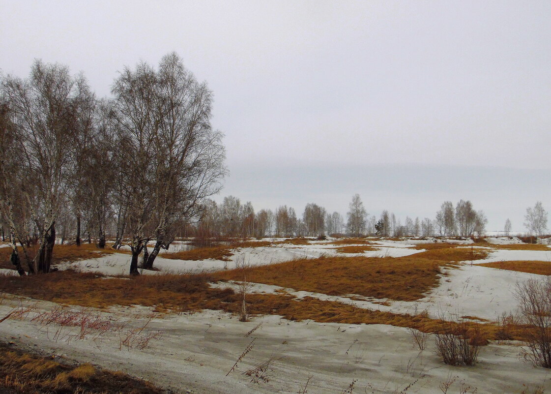 Уж тает снег у нас в полях. - nadyasilyuk Вознюк