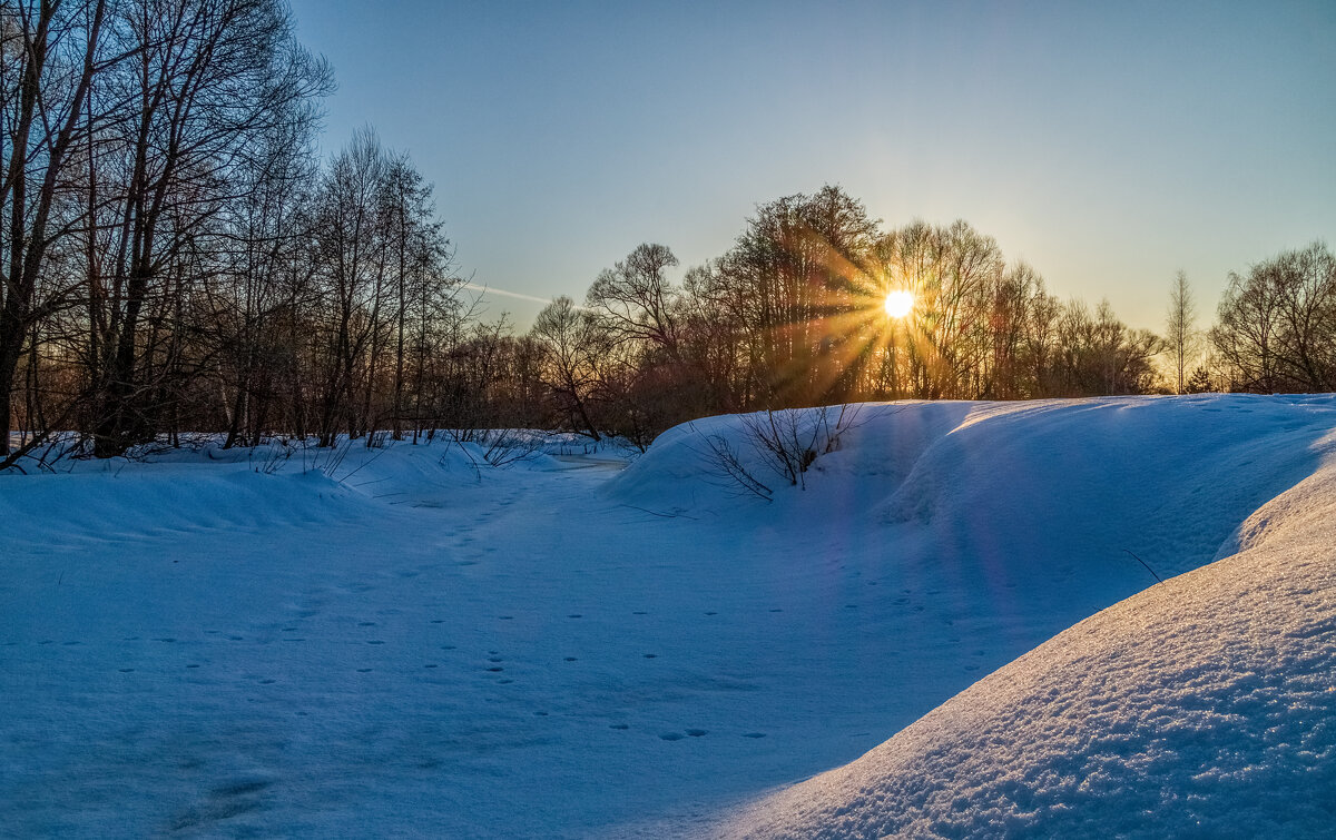 Весна набирает обороты 7 - Андрей Дворников