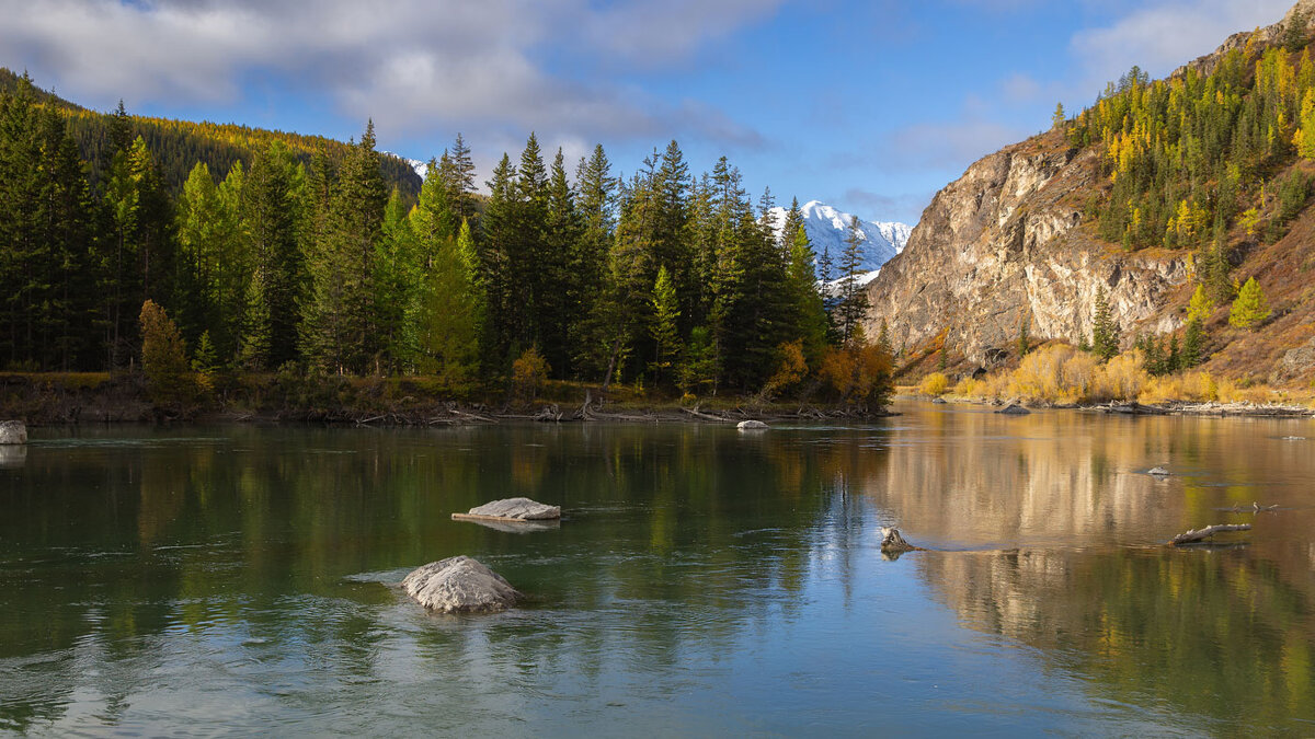 ***** - владимир 