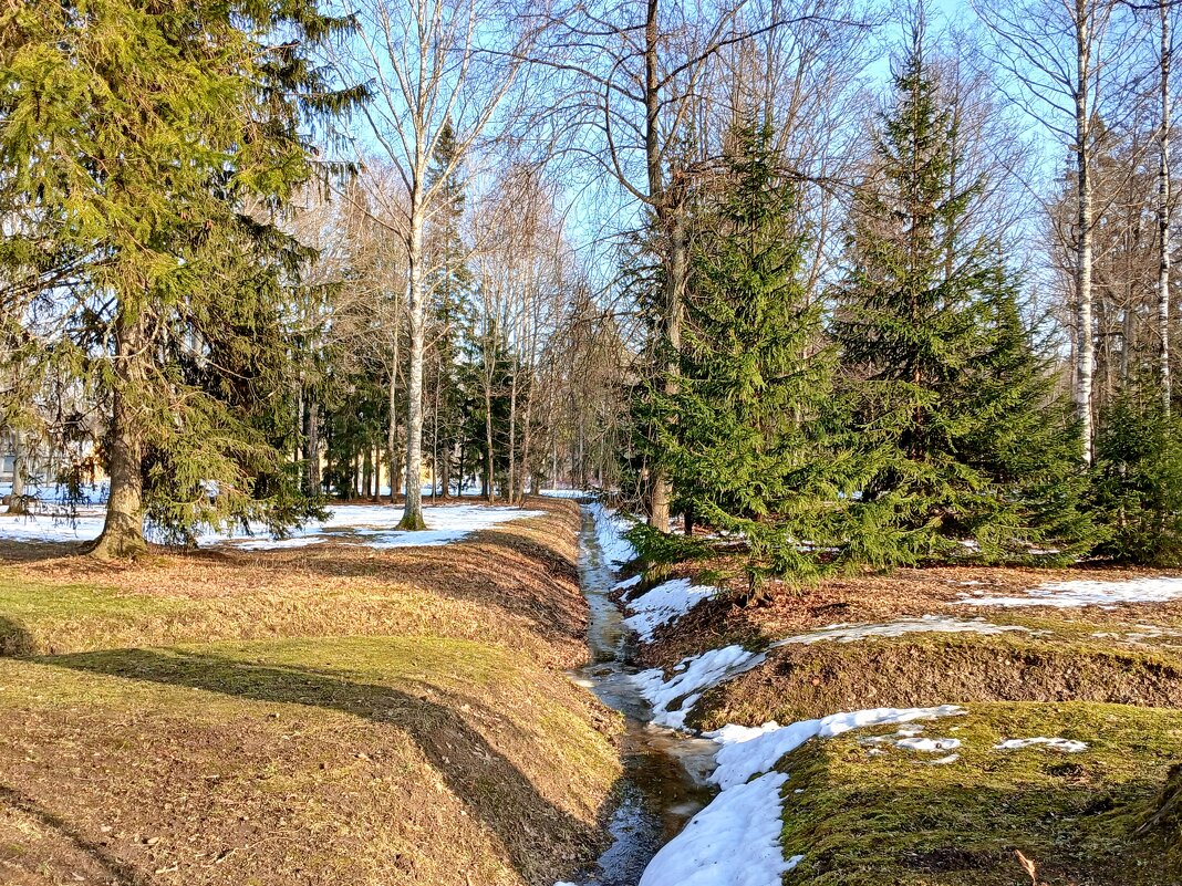 По-весеннему тепло и ясно! - Лия ☼