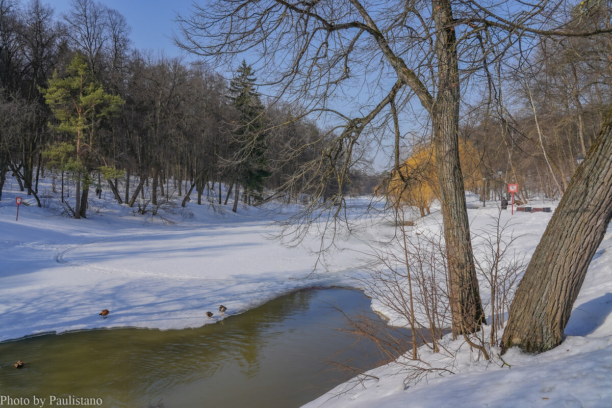 Март в Царицыно... - Владимир Жданов