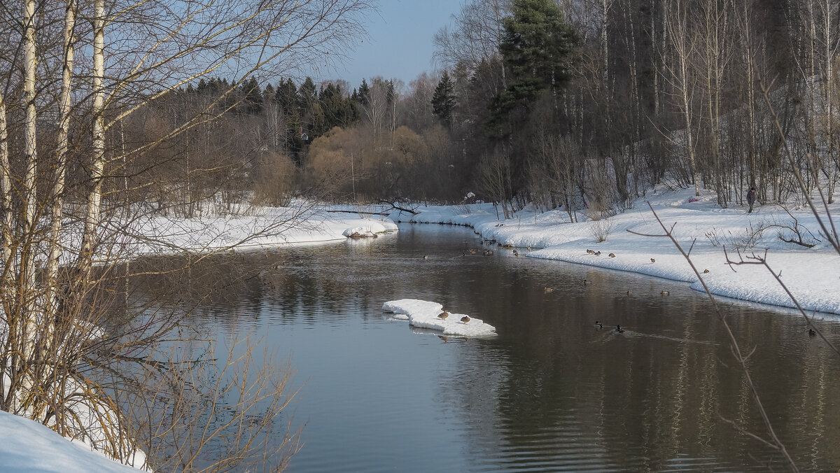 Весение - юрий поляков