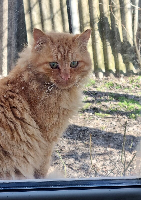 Ну я пошел?.. - Наталья 