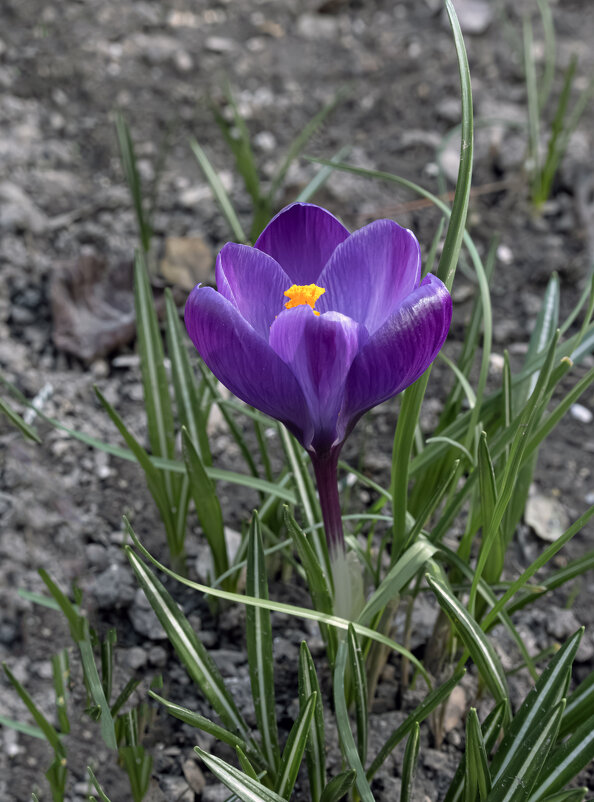 Здравствуй, долгожданный!.. - Валерий Басыров