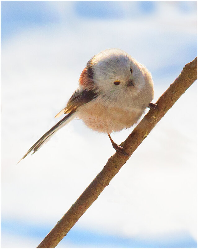 Ополовник - Валентин Котляров