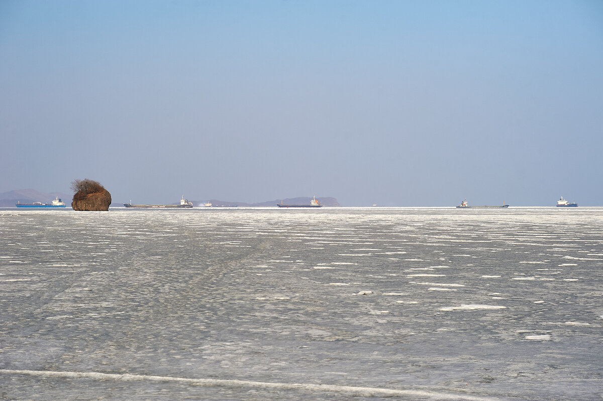 Рейд. - Пал Саныч