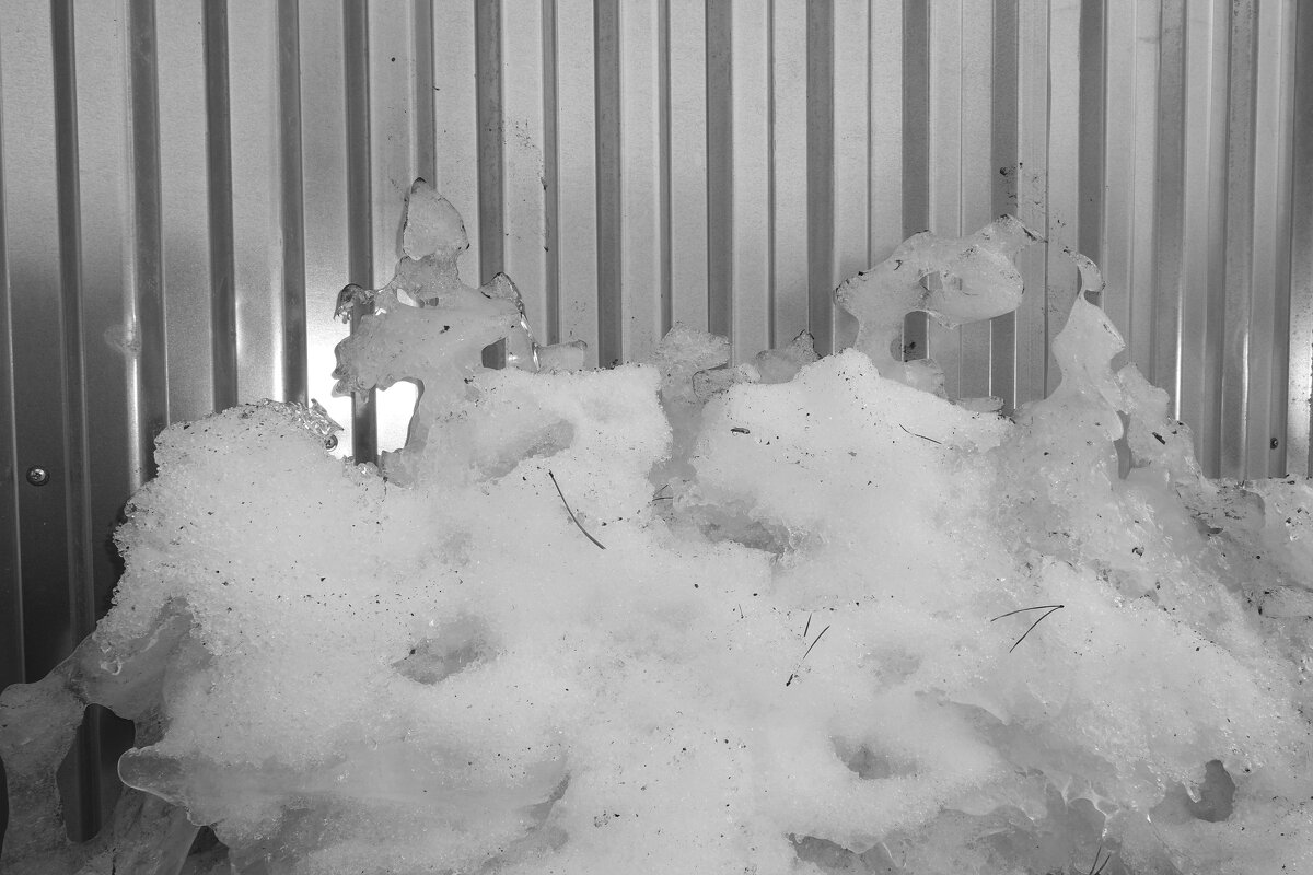 Мечты о ч/б Лейке 60. - Михаил Елочкин