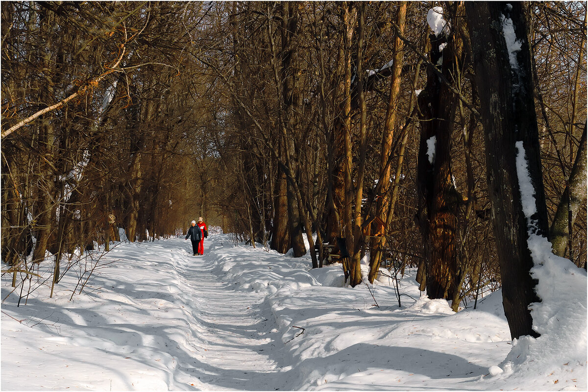 По тропе здоровья - Валентин Котляров