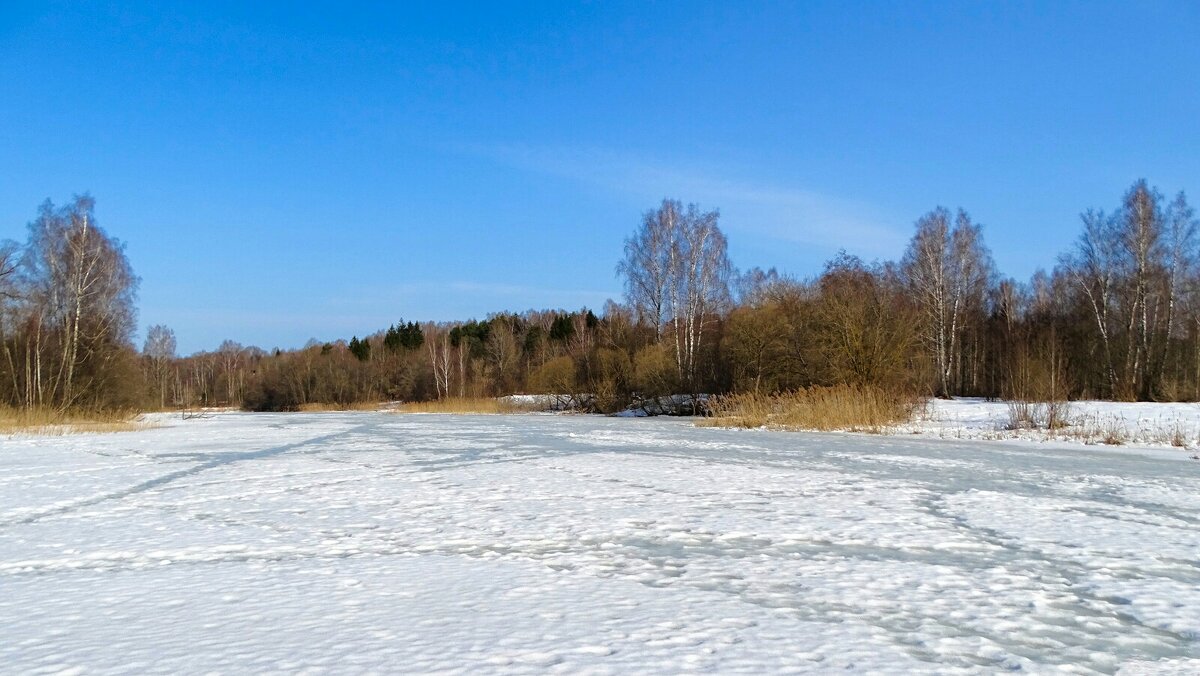 Весна на Смоленщине. - Милешкин Владимир Алексеевич 