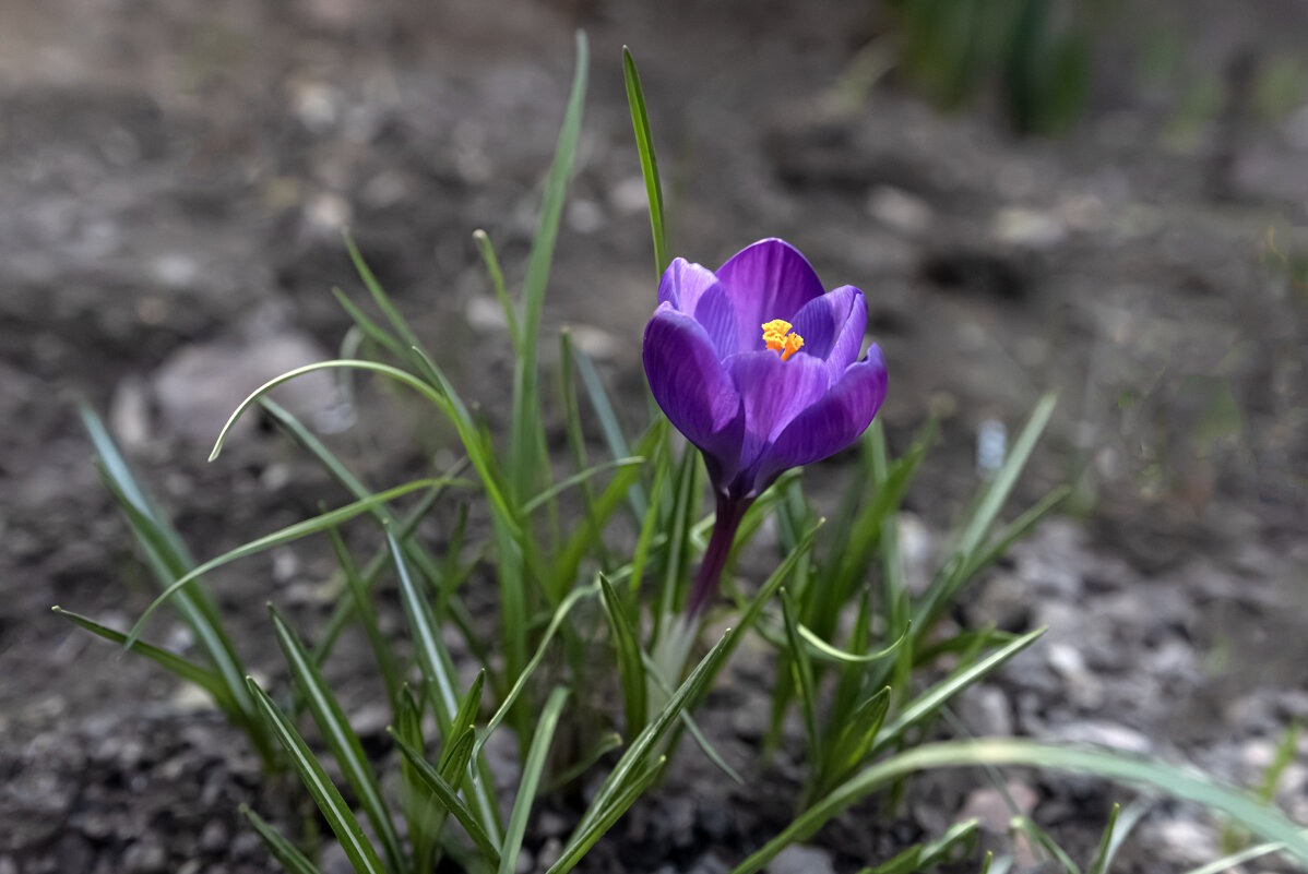 Вольница тепла - Валерий Басыров