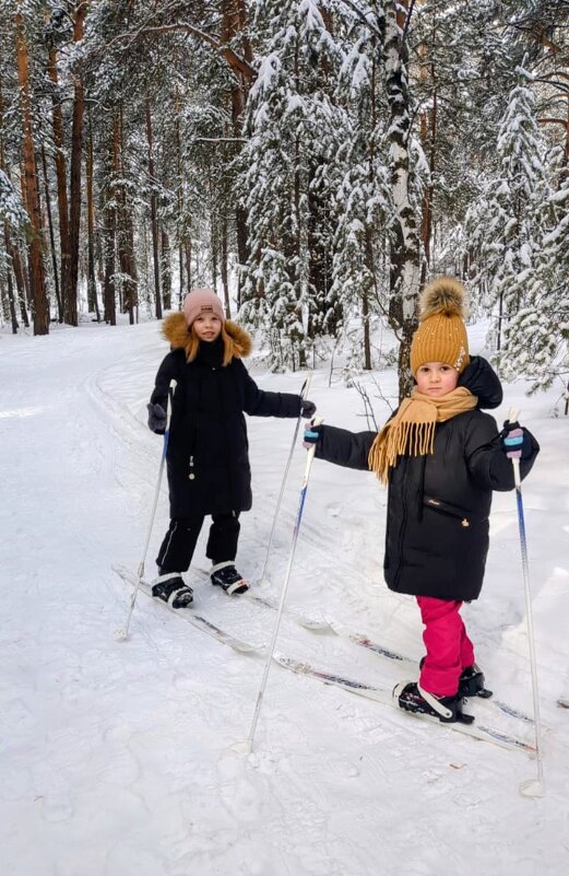 Лыжницы - Андрей Хлопонин
