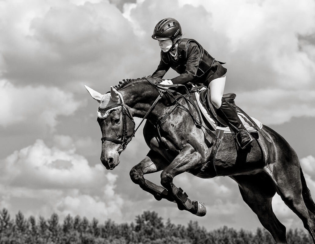 Конкур - SanSan 