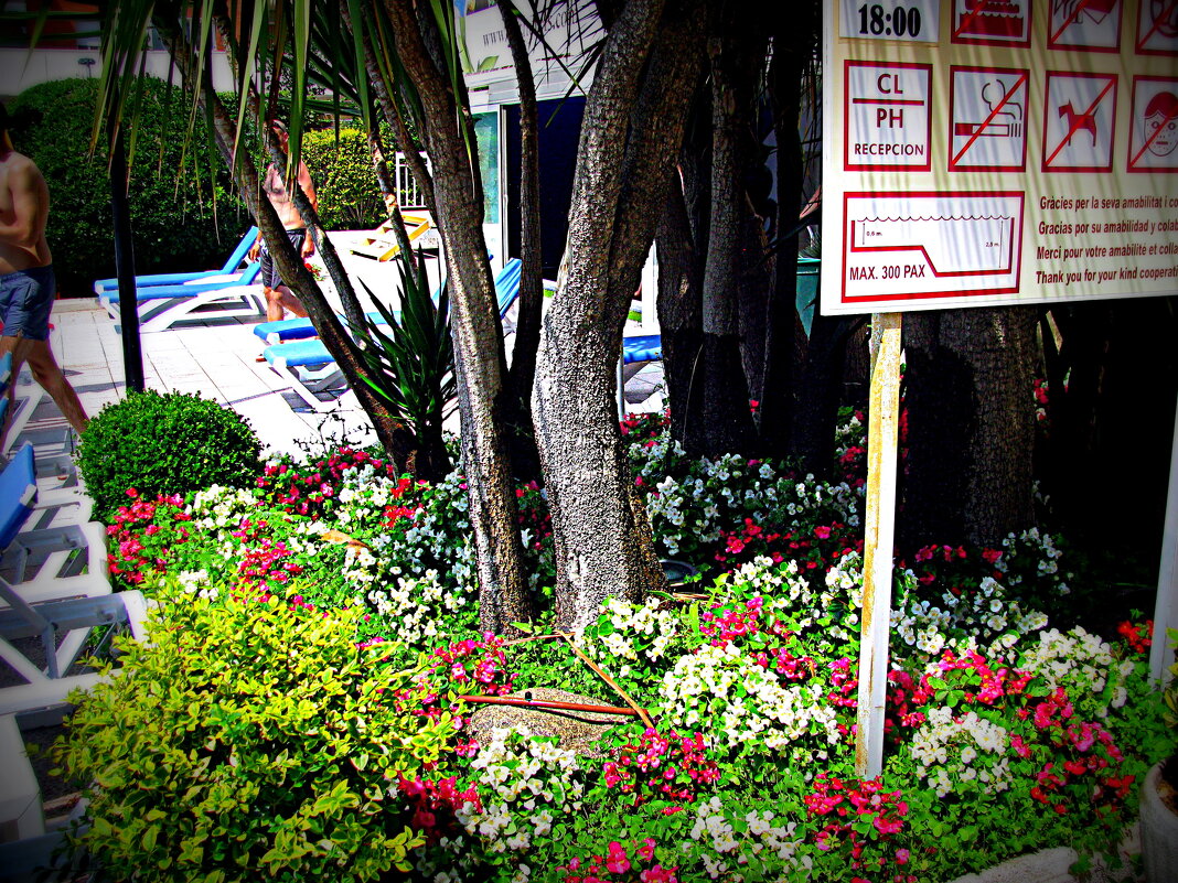 Барселона. - Владимир Драгунский