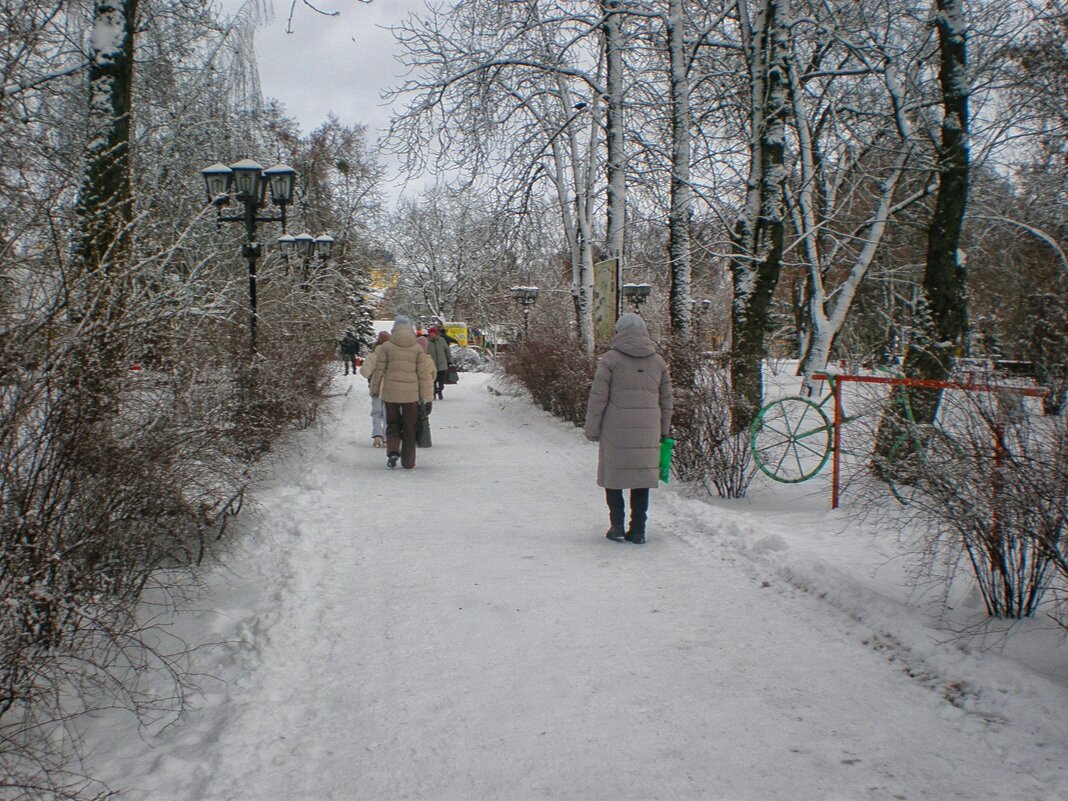 Зимний день - Роман Савоцкий
