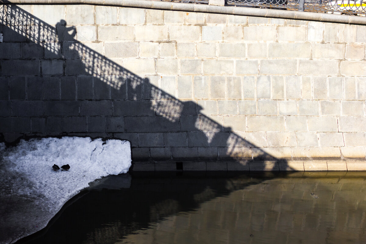 * - Сергей Полянский