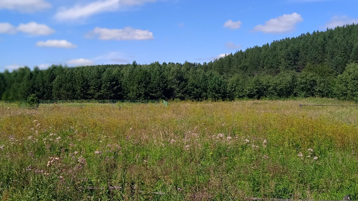 Мурзинка - Елена Шаламова