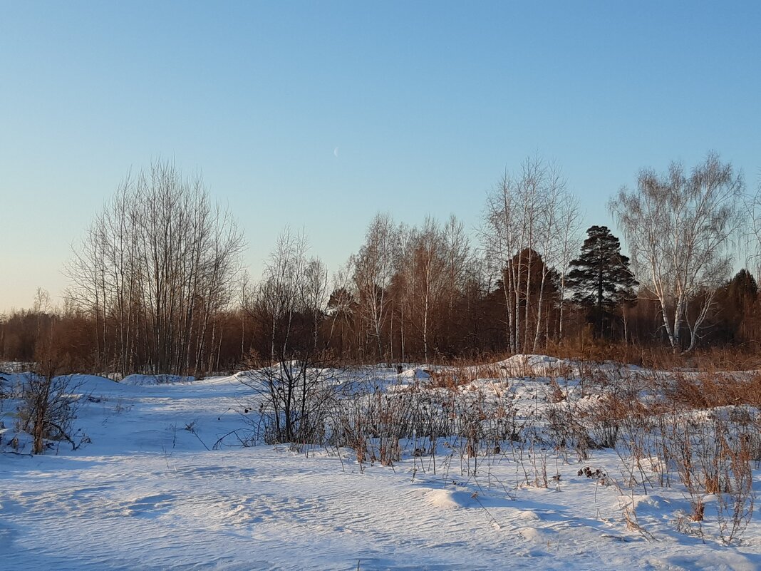 На рассвете дня - Галина Минчук