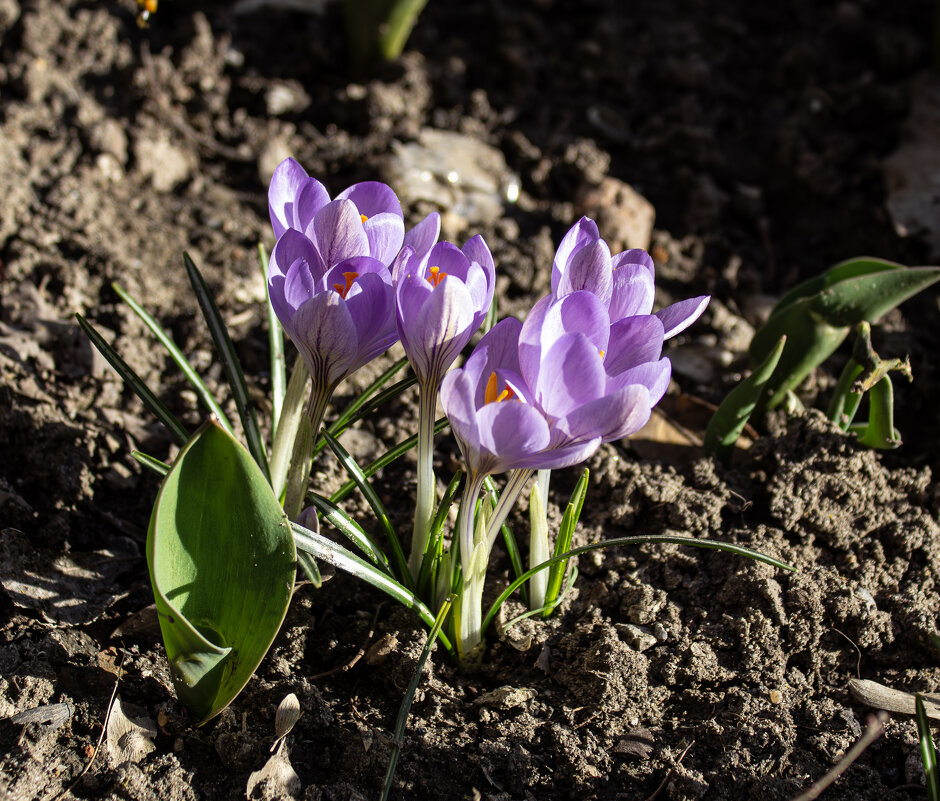 888 - Александр. AVG100 ---