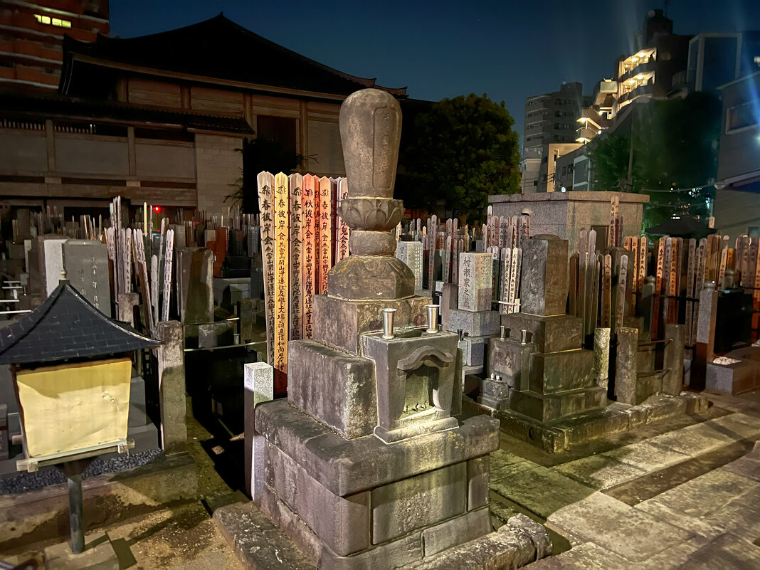 Городское кладбище в Токио - Николай Соколухин