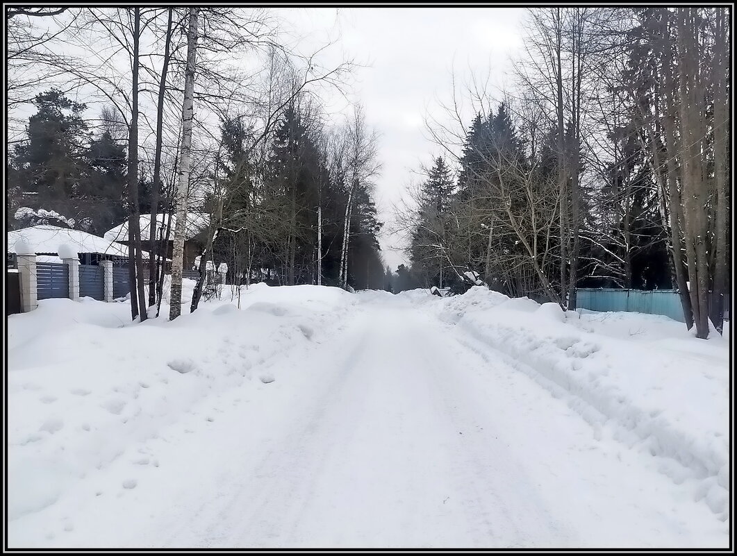 Наша улица на даче - Ольга Довженко