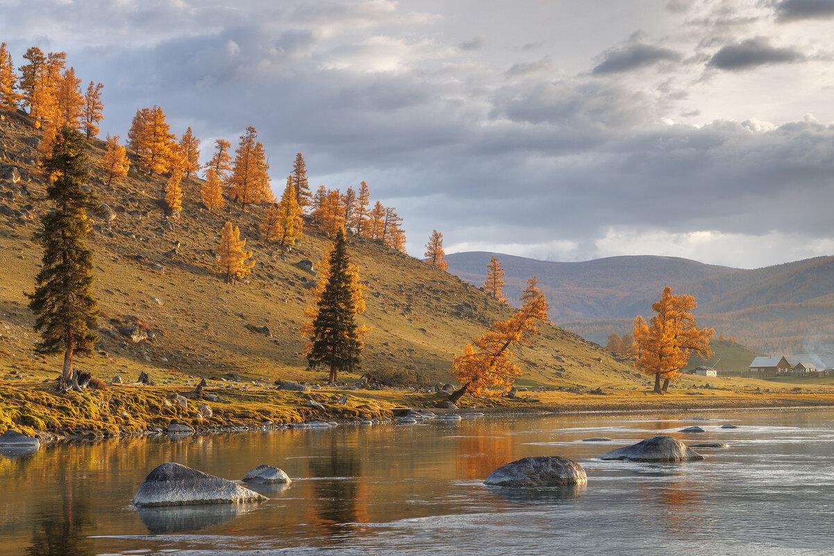 Золото Алтая - Sergey38 