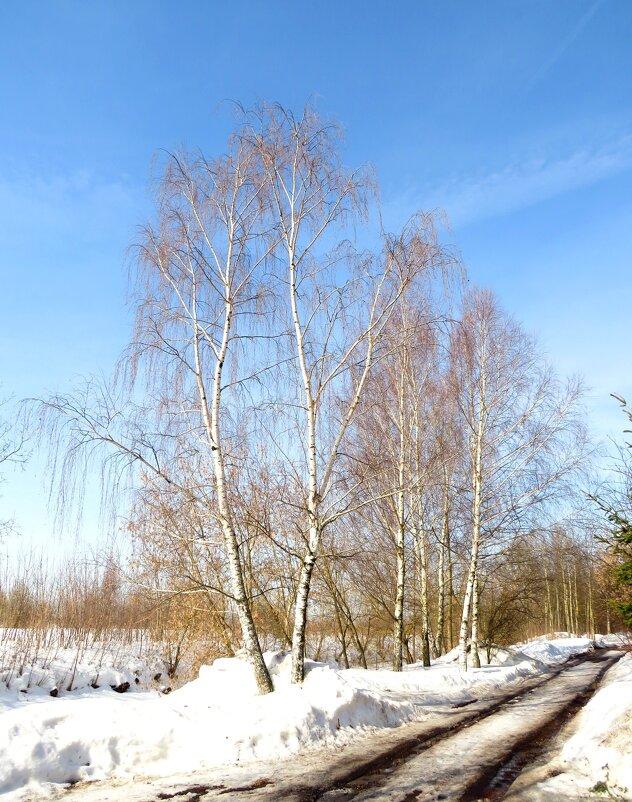 Весна пришла! - Андрей Снегерёв