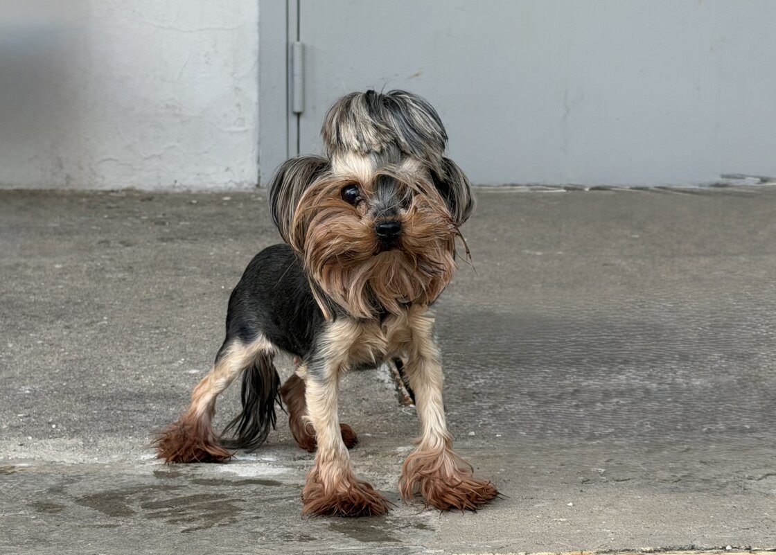 Встреча у подъезда - Любовь 