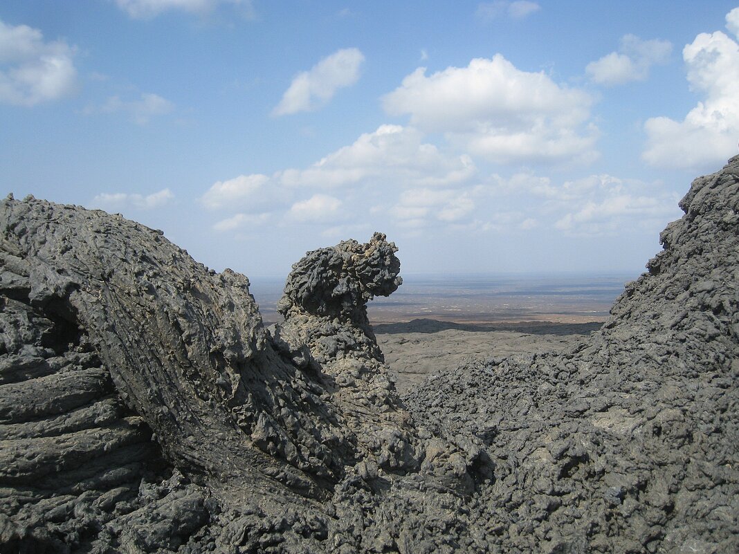 Собачка из вулканической лавы. - unix (Илья Утропов)