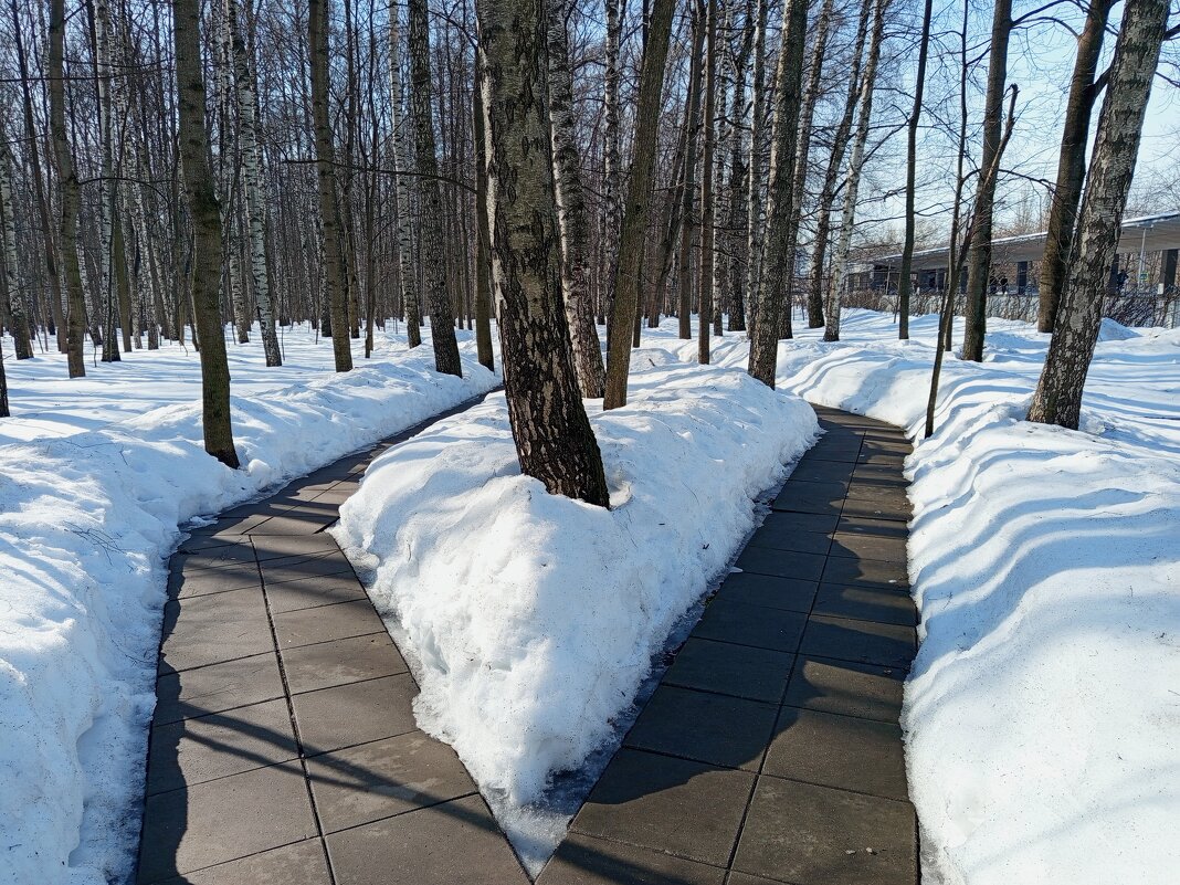 По дороге на работу - Андрей Лукьянов