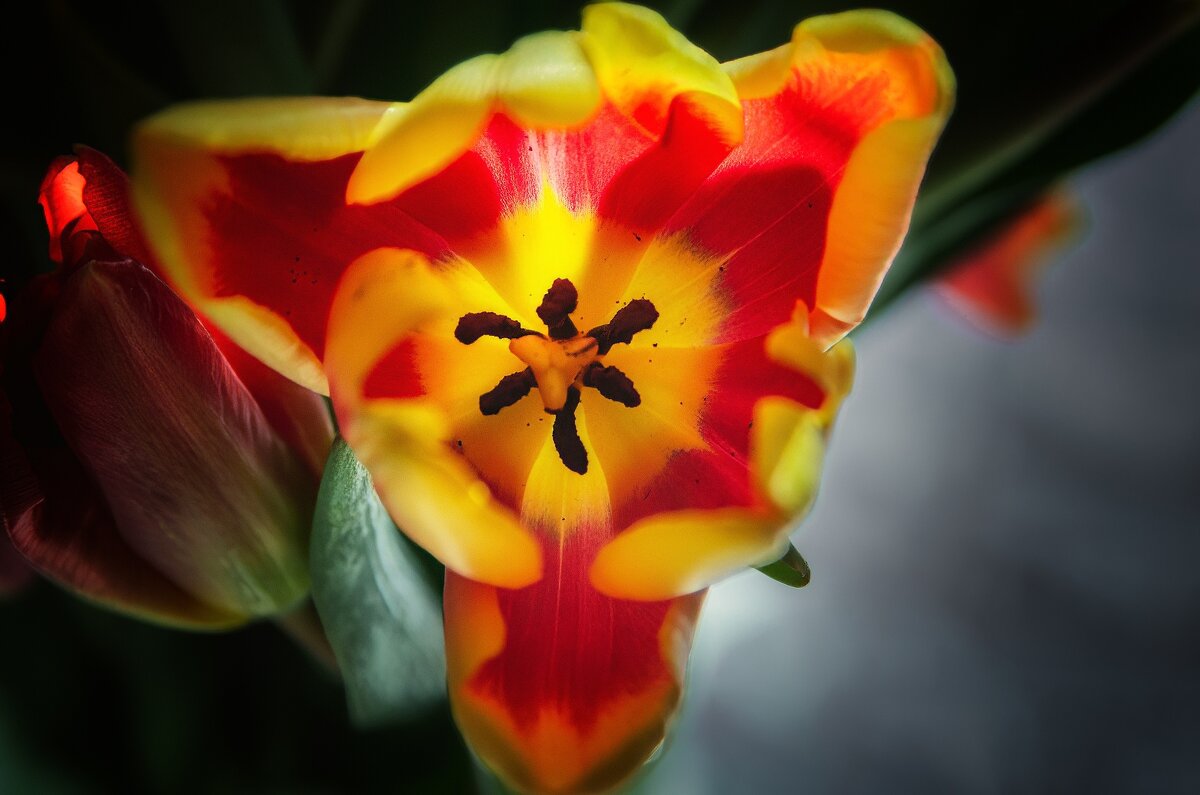 *** - Виктор Иванович Чернюк