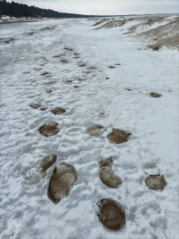 Прогулка в Нарва-Йыэсуу - Veera V