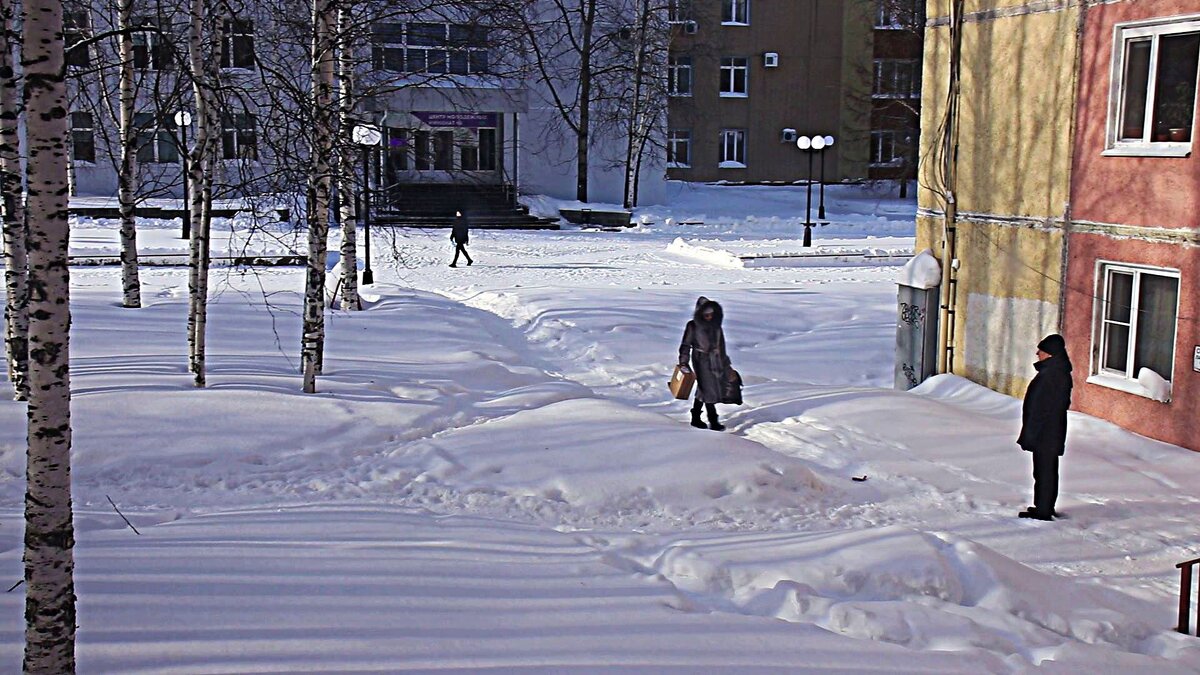 Март....На  узкой тропе- не разойтись! - Владимир 