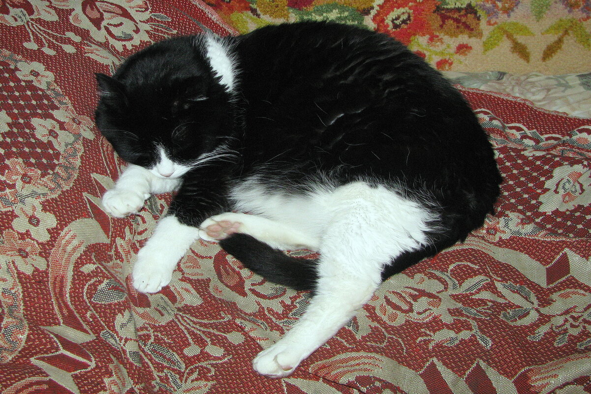 Так сладко спится - Людмила Смородинская