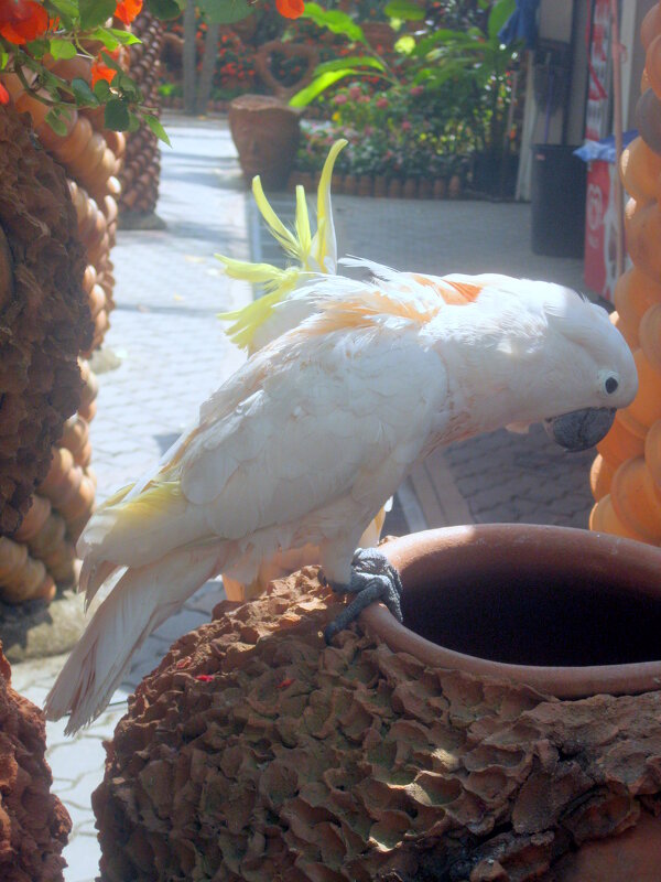 Начало пути - ирина Начало пути - ирина