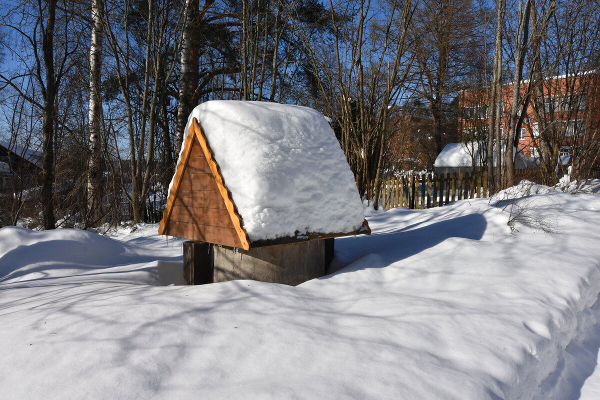 Московская область. Федоскино. - Наташа *****
