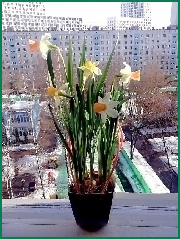 Вестники весны - Ольга Довженко