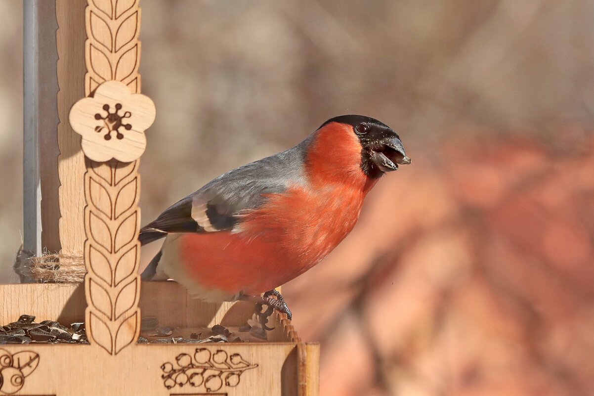 С добрым утром. - Татьяна Бравая С добрым утром. - Татьяна Бравая