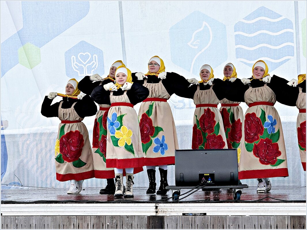 На концерте. - Валерия Комова