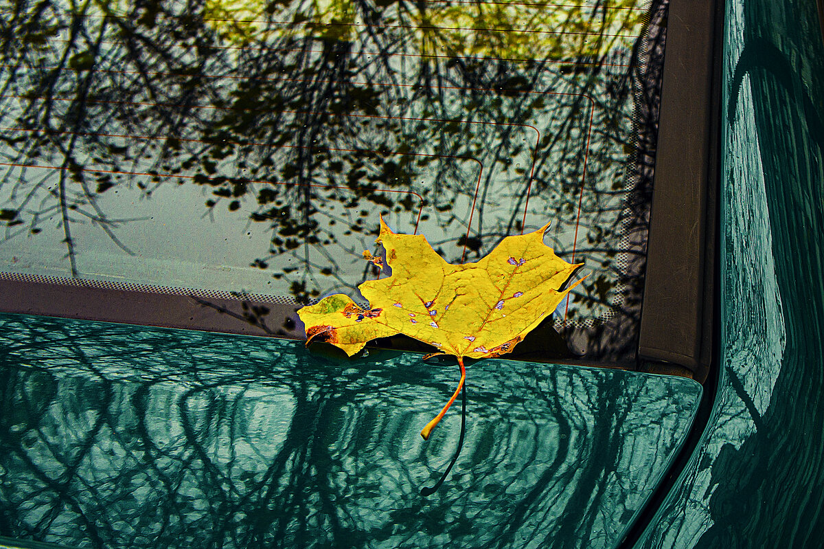 ЛИСТОЧЕК - Владимир Кроливец