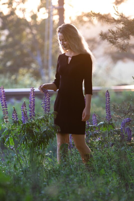 * - Евгений Ваулин