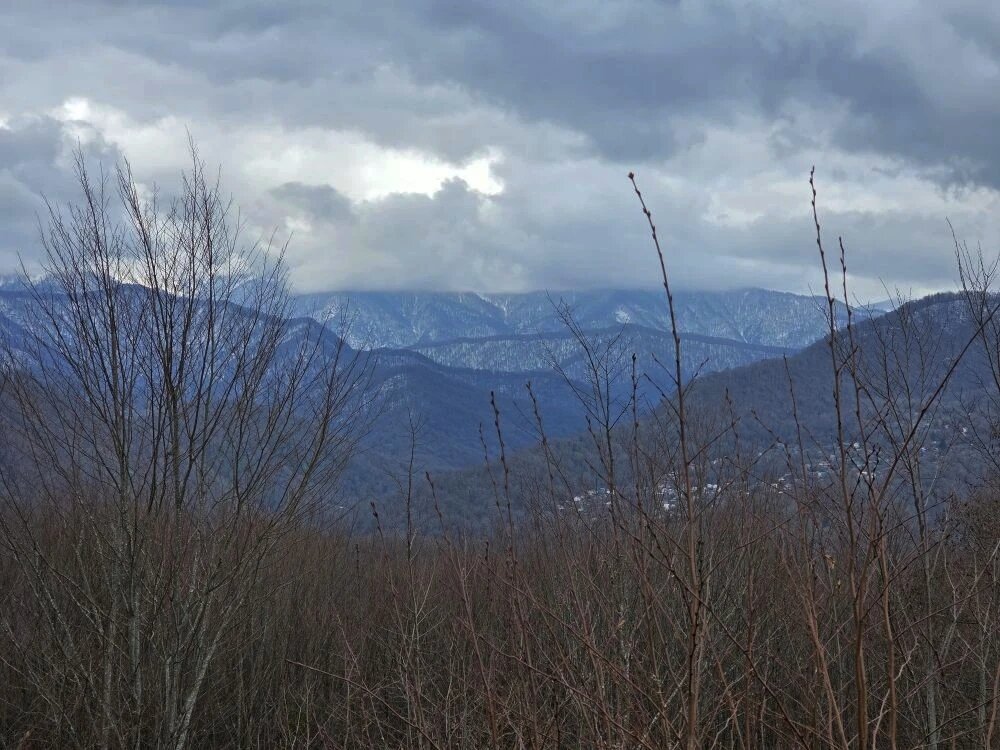 ПРОГУЛКА В ГОРАХ - Tata Wolf