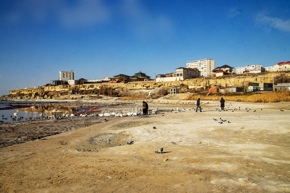 Люди и птицы - Анатолий Чикчирный