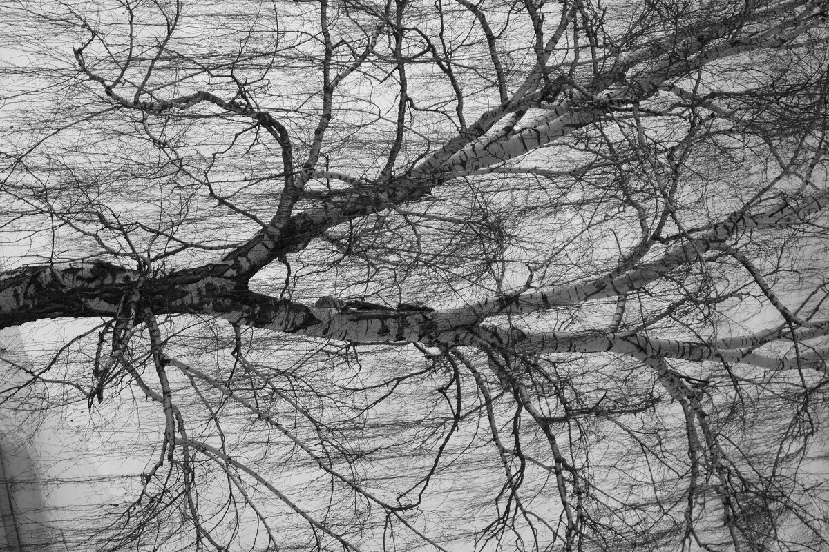 Мир человеческий - Сергей Матвеенко