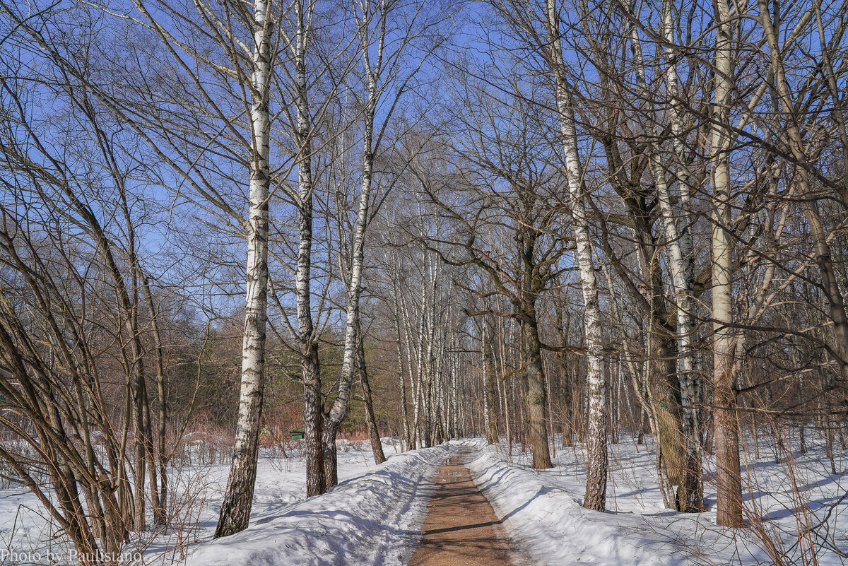 Палитра марта... - Владимир Жданов Палитра марта... - Владимир Жданов