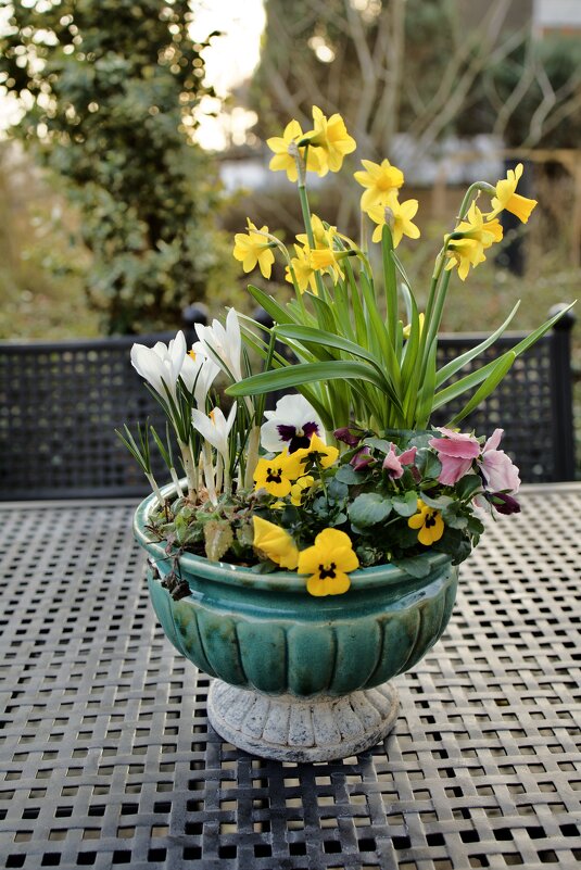 Весенний букет. - Lucy Schneider 